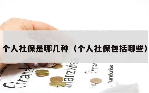 个人社保是哪几种（个人社保包括哪些）