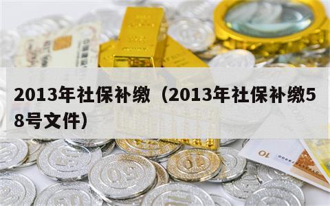 2013年社保补缴（2013年社保补缴58号文件）
