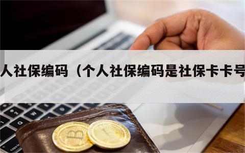 个人社保编码（个人社保编码是社保卡卡号吗）