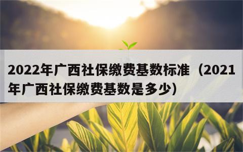 2022年广西社保缴费基数标准（2021年广西社保缴费基数是多少）