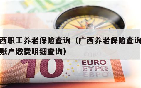 广西职工养老保险查询（广西养老保险查询个人账户缴费明细查询）