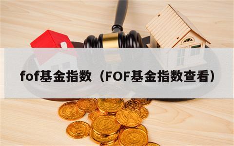 fof基金指数（FOF基金指数查看）