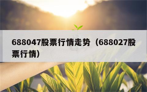 688047股票行情走势（688027股票行情）
