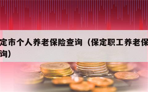 保定市个人养老保险查询（保定职工养老保险查询）