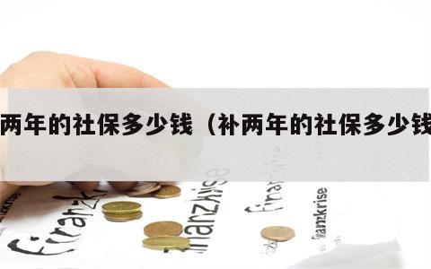 补两年的社保多少钱（补两年的社保多少钱啊）
