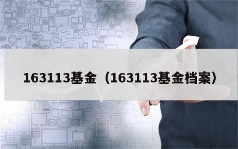 163113基金（163113基金档案）