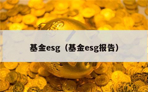 基金esg（基金esg报告）