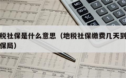 地税社保是什么意思（地税社保缴费几天到账社保局）