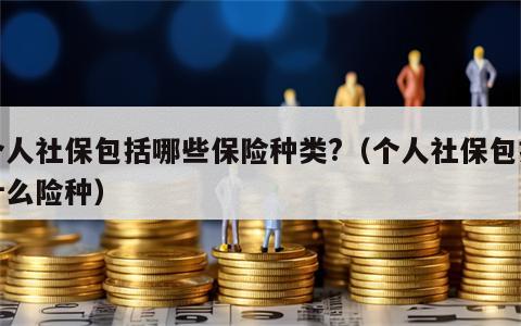 个人社保包括哪些保险种类?（个人社保包括什么险种）