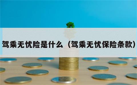 驾乘无忧险是什么（驾乘无忧保险条款）