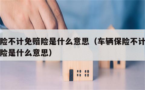 保险不计免赔险是什么意思（车辆保险不计免赔险是什么意思）