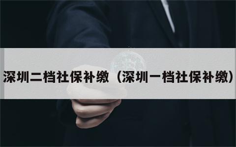 深圳二档社保补缴（深圳一档社保补缴）