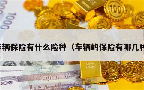 车辆保险有什么险种（车辆的保险有哪几种）