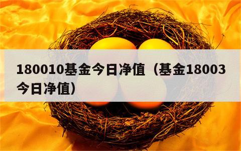 180010基金今日净值（基金18003今日净值）