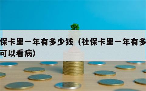 社保卡里一年有多少钱（社保卡里一年有多少钱可以看病）