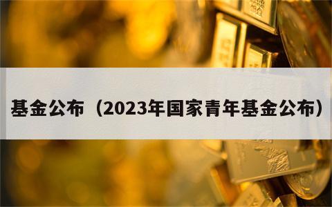 基金公布（2023年国家青年基金公布）