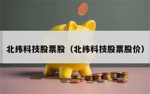 北纬科技股票股（北纬科技股票股价）
