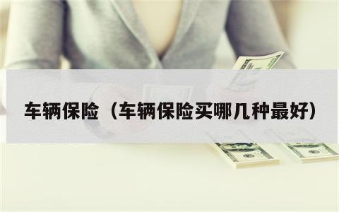车辆保险（车辆保险买哪几种最好）