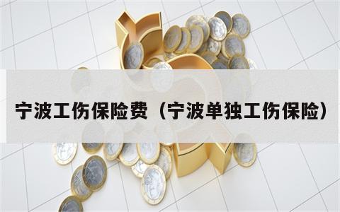 宁波工伤保险费（宁波单独工伤保险）