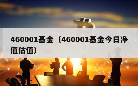460001基金（460001基金今日净值估值）
