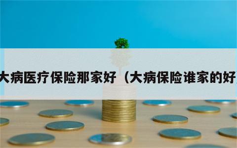 大病医疗保险那家好（大病保险谁家的好）