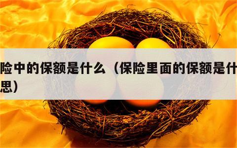 保险中的保额是什么（保险里面的保额是什么意思）