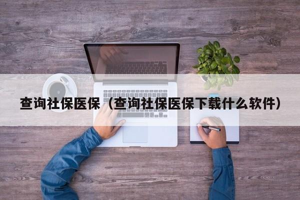 查询社保医保（查询社保医保下载什么软件）