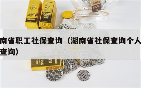 湖南省职工社保查询（湖南省社保查询个人账户查询）