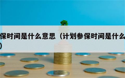 参保时间是什么意思（计划参保时间是什么意思）