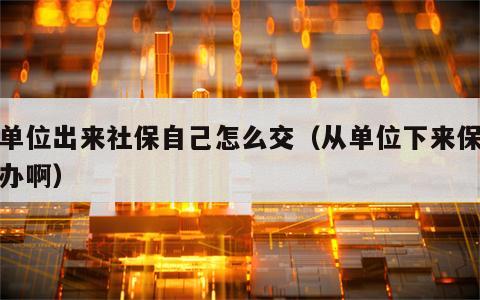 从单位出来社保自己怎么交（从单位下来保险咋办啊）