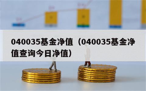 040035基金净值（040035基金净值查询今日净值）