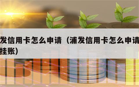 浦发信用卡怎么申请（浦发信用卡怎么申请停息挂账）