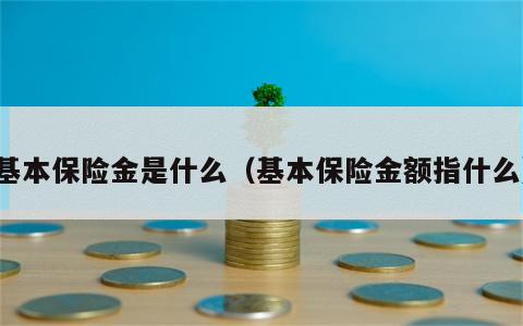 基本保险金是什么（基本保险金额指什么）