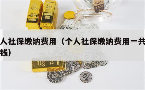 个人社保缴纳费用（个人社保缴纳费用一共多少钱）