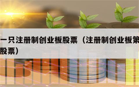 第一只注册制创业板股票（注册制创业板第一批股票）