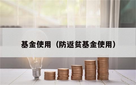 基金使用（防返贫基金使用）