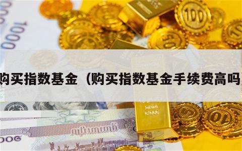 购买指数基金（购买指数基金手续费高吗）