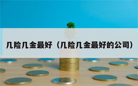 几险几金最好（几险几金最好的公司）