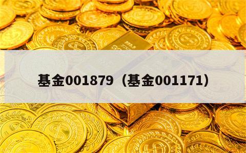 基金001879（基金001171）