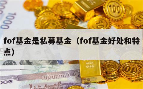 fof基金是私募基金（fof基金好处和特点）