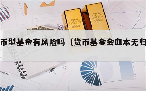 货币型基金有风险吗（货币基金会血本无归吗）