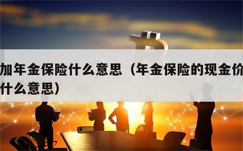 附加年金保险什么意思（年金保险的现金价值是什么意思）