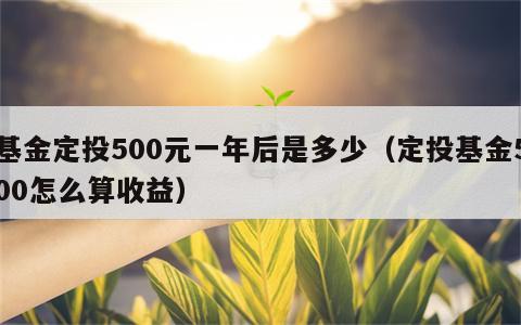 基金定投500元一年后是多少（定投基金500怎么算收益）