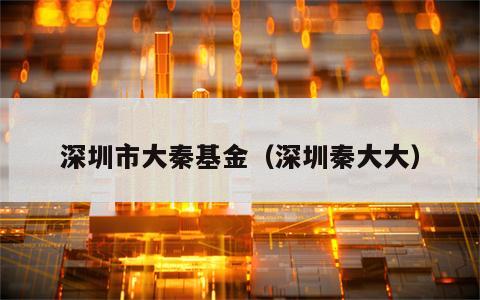 深圳市大秦基金（深圳秦大大）