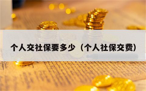 个人交社保要多少（个人社保交费）