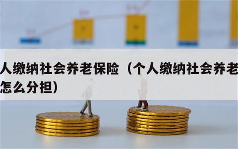 个人缴纳社会养老保险（个人缴纳社会养老保险怎么分担）