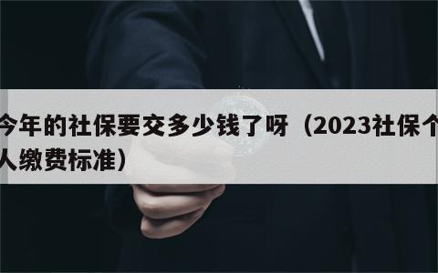 今年的社保要交多少钱了呀（2023社保个人缴费标准）