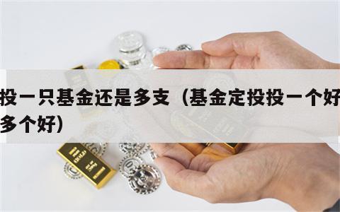 定投一只基金还是多支（基金定投投一个好还是多个好）