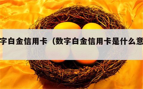 数字白金信用卡（数字白金信用卡是什么意思）