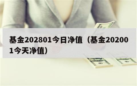 基金202801今日净值（基金202001今天净值）